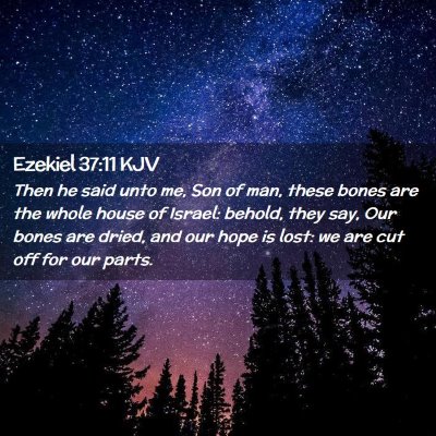 Picture 02 - Ezekiel 37:11 KJV - Then he said unto me, Son of man, these bones are - Bible Verse Picture