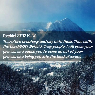 Picture 02 - Ezekiel 37:12 KJV - Therefore prophesy and say unto them, Thus saith - Bible Verse Picture