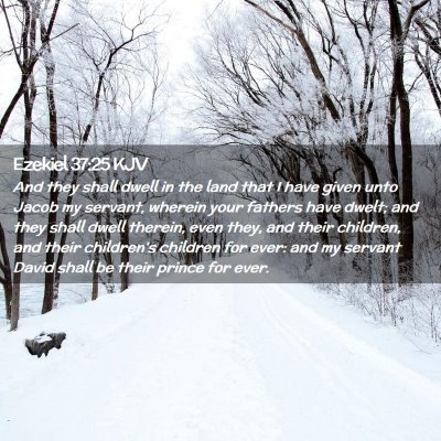 Picture 02 - Ezekiel 37:25 KJV - And they shall dwell in the land that I have - Bible Verse Picture