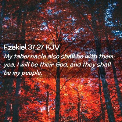 Picture 02 - Ezekiel 37:27 KJV - My tabernacle also shall be with them: yea, I - Bible Verse Picture