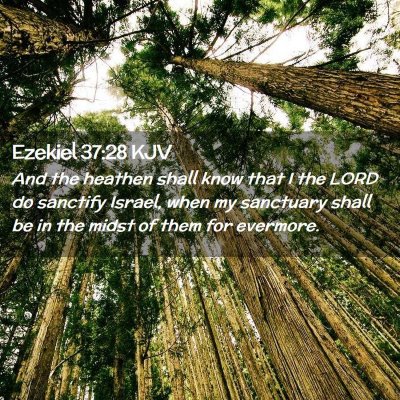 Picture 02 - Ezekiel 37:28 KJV - And the heathen shall know that I the LORD do - Bible Verse Picture