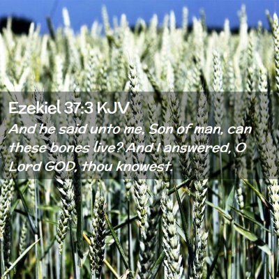 Picture 02 - Ezekiel 37:3 KJV - And he said unto me, Son of man, can these bones - Bible Verse Picture