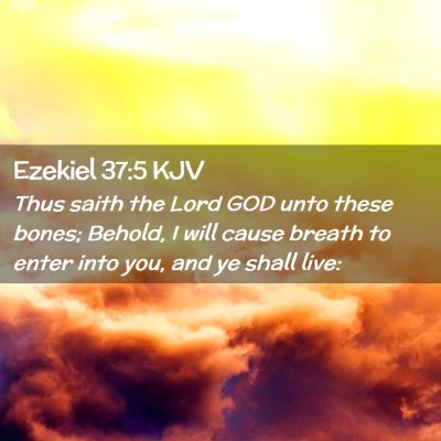 Picture 02 - Ezekiel 37:5 KJV - Thus saith the Lord GOD unto these bones; Behold, - Bible Verse Picture