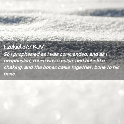 Picture 02 - Ezekiel 37:7 KJV - So I prophesied as I was commanded: and as I - Bible Verse Picture