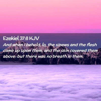 Picture 02 - Ezekiel 37:8 KJV - And when I beheld, lo, the sinews and the flesh - Bible Verse Picture