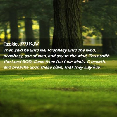 Picture 02 - Ezekiel 37:9 KJV - Then said he unto me, Prophesy unto the wind, - Bible Verse Picture