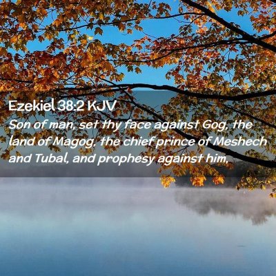 Picture 02 - Ezekiel 38:2 KJV - Son of man, set thy face against Gog, the land of - Bible Verse Picture