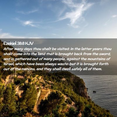 Picture 02 - Ezekiel 38:8 KJV - After many days thou shalt be visited: in the - Bible Verse Picture
