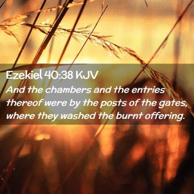 Picture 02 - Ezekiel 40:38 KJV - And the chambers and the entries thereof were by - Bible Verse Picture