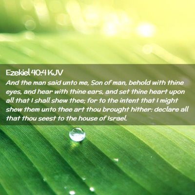 Picture 02 - Ezekiel 40:4 KJV - And the man said unto me, Son of man, behold with - Bible Verse Picture