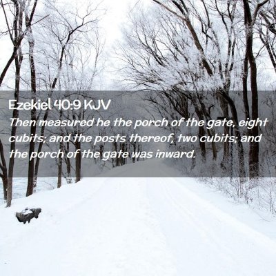 Picture 02 - Ezekiel 40:9 KJV - Then measured he the porch of the gate, eight - Bible Verse Picture