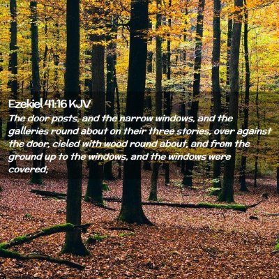 Picture 02 - Ezekiel 41:16 KJV - The door posts, and the narrow windows, and the - Bible Verse Picture