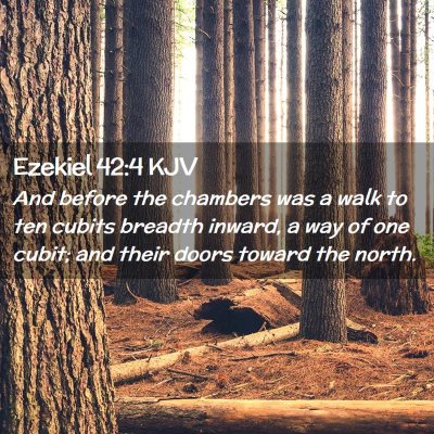 Picture 02 - Ezekiel 42:4 KJV - And before the chambers was a walk to ten cubits - Bible Verse Picture