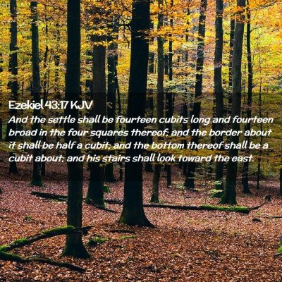 Picture 02 - Ezekiel 43:17 KJV - And the settle shall be fourteen cubits long and - Bible Verse Picture