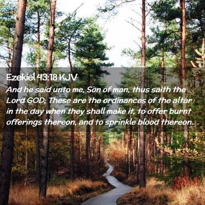 Picture 02 - Ezekiel 43:18 KJV - And he said unto me, Son of man, thus saith the - Bible Verse Picture