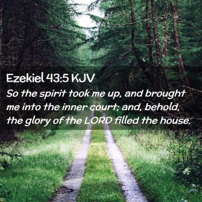 Picture 02 - Ezekiel 43:5 KJV - So the spirit took me up, and brought me into the - Bible Verse Picture