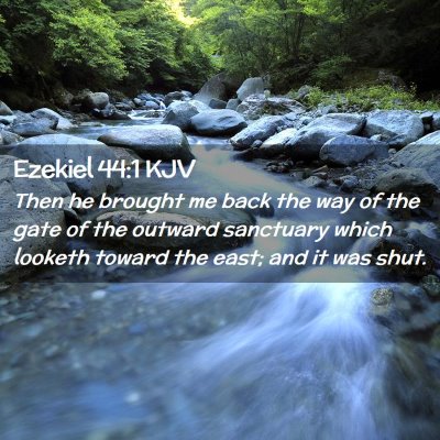 Picture 02 - Ezekiel 44:1 KJV - Then he brought me back the way of the gate of - Bible Verse Picture