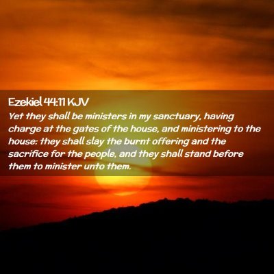 Picture 02 - Ezekiel 44:11 KJV - Yet they shall be ministers in my sanctuary, - Bible Verse Picture