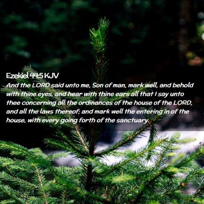 Picture 02 - Ezekiel 44:5 KJV - And the LORD said unto me, Son of man, mark well, - Bible Verse Picture