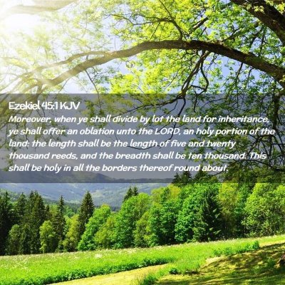 Picture 02 - Ezekiel 45:1 KJV - Moreover, when ye shall divide by lot the land - Bible Verse Picture