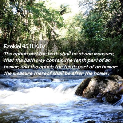 Picture 02 - Ezekiel 45:11 KJV - The ephah and the bath shall be of one measure, - Bible Verse Picture
