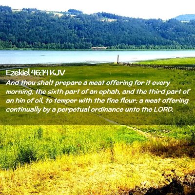 Picture 02 - Ezekiel 46:14 KJV - And thou shalt prepare a meat offering for it - Bible Verse Picture