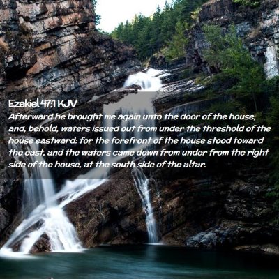 Picture 02 - Ezekiel 47:1 KJV - Afterward he brought me again unto the door of - Bible Verse Picture