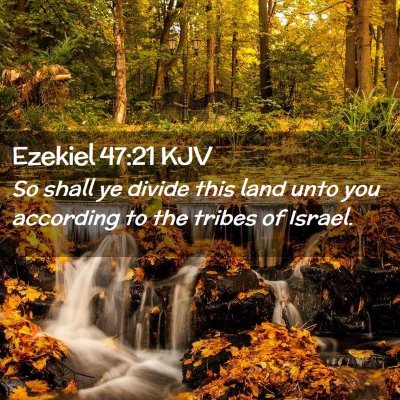 Picture 02 - Ezekiel 47:21 KJV - So shall ye divide this land unto you according - Bible Verse Picture