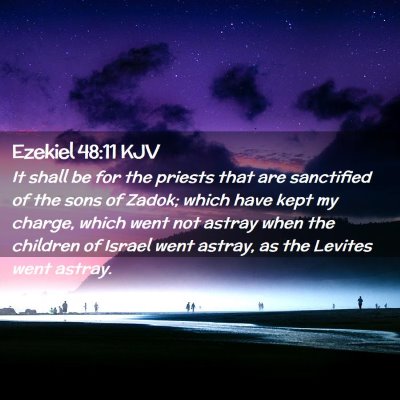 Picture 02 - Ezekiel 48:11 KJV - It shall be for the priests that are sanctified - Bible Verse Picture