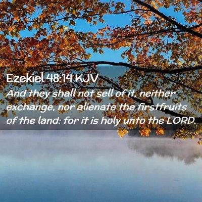 Picture 02 - Ezekiel 48:14 KJV - And they shall not sell of it, neither exchange, - Bible Verse Picture