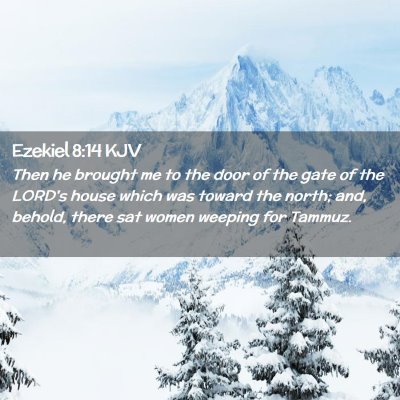 Picture 02 - Ezekiel 8:14 KJV - Then he brought me to the door of the gate of the - Bible Verse Picture