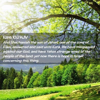 Picture 02 - Ezra 10:2 KJV - And Shechaniah the son of Jehiel, one of the sons - Bible Verse Picture