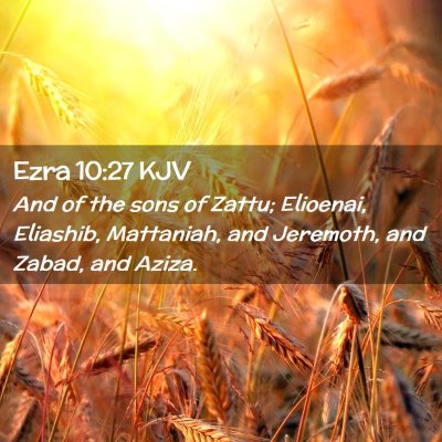 Picture 02 - Ezra 10:27 KJV - And of the sons of Zattu; Elioenai, Eliashib, - Bible Verse Picture