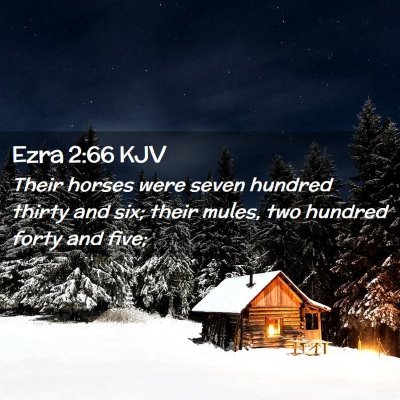 Picture 02 - Ezra 2:66 KJV - Their horses were seven hundred thirty and six; - Bible Verse Picture