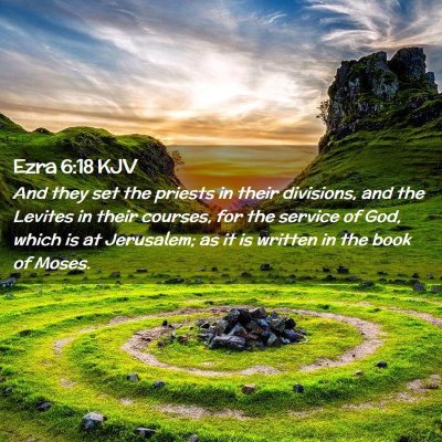 Picture 02 - Ezra 6:18 KJV - And they set the priests in their divisions, and - Bible Verse Picture