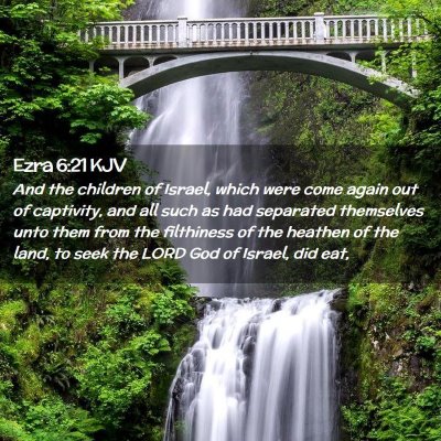 Picture 02 - Ezra 6:21 KJV - And the children of Israel, which were come again - Bible Verse Picture