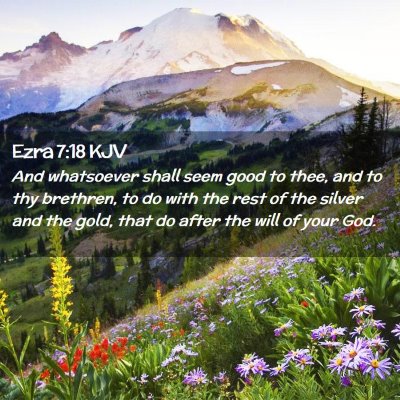 Picture 02 - Ezra 7:18 KJV - And whatsoever shall seem good to thee, and to - Bible Verse Picture