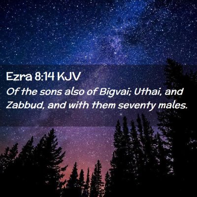 Picture 02 - Ezra 8:14 KJV - Of the sons also of Bigvai; Uthai, and Zabbud, - Bible Verse Picture