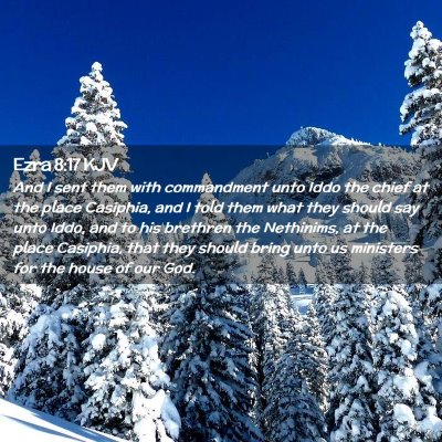 Picture 02 - Ezra 8:17 KJV - And I sent them with commandment unto Iddo the - Bible Verse Picture