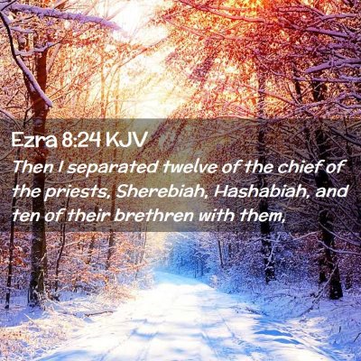 Picture 02 - Ezra 8:24 KJV - Then I separated twelve of the chief of the - Bible Verse Picture