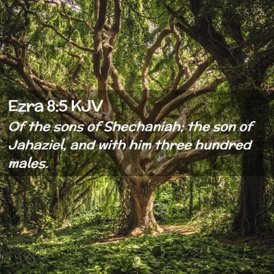 Picture 02 - Ezra 8:5 KJV - Of the sons of Shechaniah; the son of Jahaziel, - Bible Verse Picture