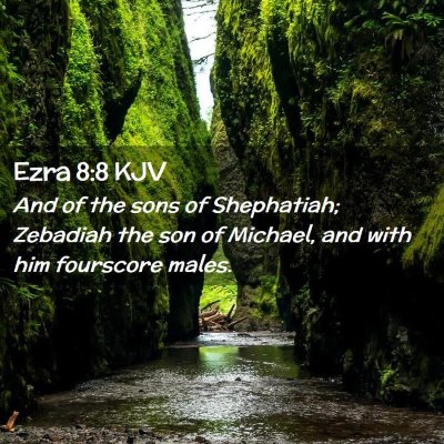 Picture 02 - Ezra 8:8 KJV - And of the sons of Shephatiah; Zebadiah the son - Bible Verse Picture