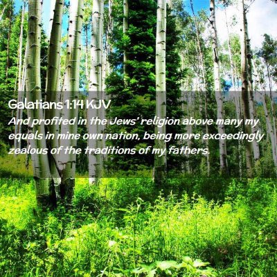 Picture 02 - Galatians 1:14 KJV - And profited in the Jews' religion above many my - Bible Verse Picture