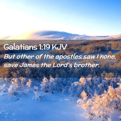 Picture 02 - Galatians 1:19 KJV - But other of the apostles saw I none, save James - Bible Verse Picture