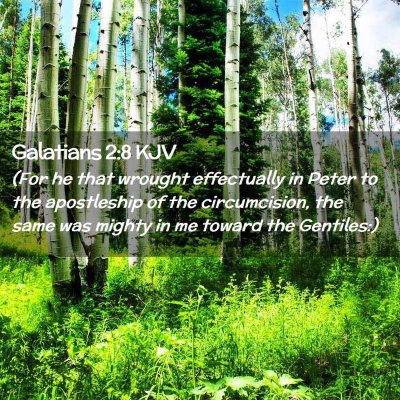 Picture 02 - Galatians 2:8 KJV - (For he that wrought effectually in Peter to the - Bible Verse Picture