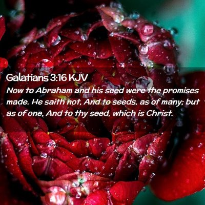 Picture 02 - Galatians 3:16 KJV - Now to Abraham and his seed were the promises - Bible Verse Picture