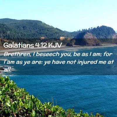 Picture 02 - Galatians 4:12 KJV - Brethren, I beseech you, be as I am; for I am as - Bible Verse Picture