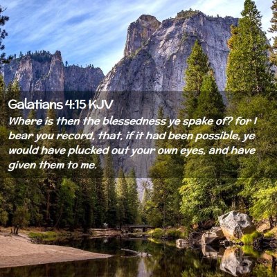 Picture 02 - Galatians 4:15 KJV - Where is then the blessedness ye spake of? for I - Bible Verse Picture