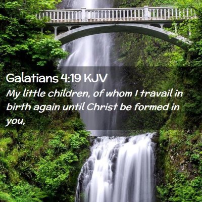 Picture 02 - Galatians 4:19 KJV - My little children, of whom I travail in birth - Bible Verse Picture