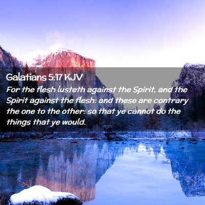 Picture 02 - Galatians 5:17 KJV - For the flesh lusteth against the Spirit, and the - Bible Verse Picture